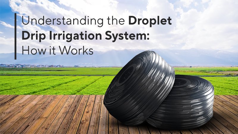 Irrigation System